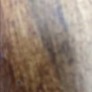 Meet your Posher, Tanner